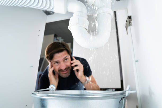 Best Plumbing Services Near Me  in Orfordville, WI